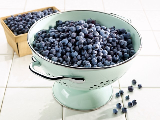 Photo of: Wild Nova Scotia Blueberries