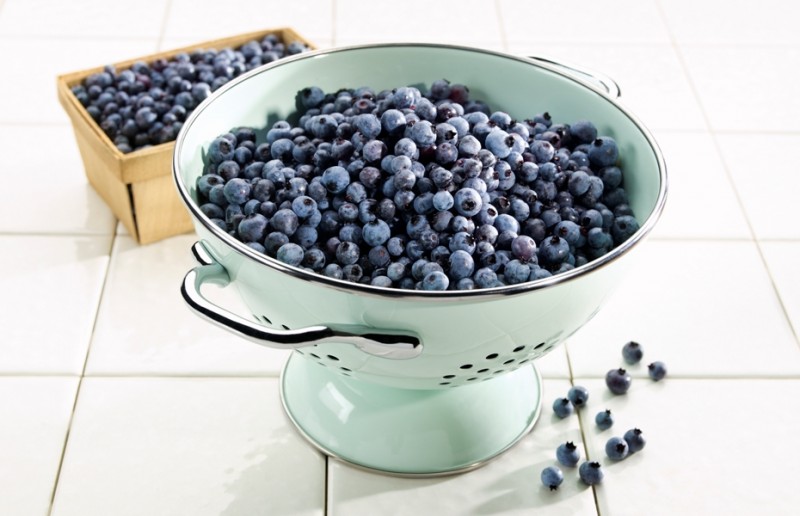 Photo of: Wild Nova Scotia Blueberries