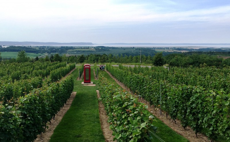 Photo of: Luckett Vineyard Phone Box
