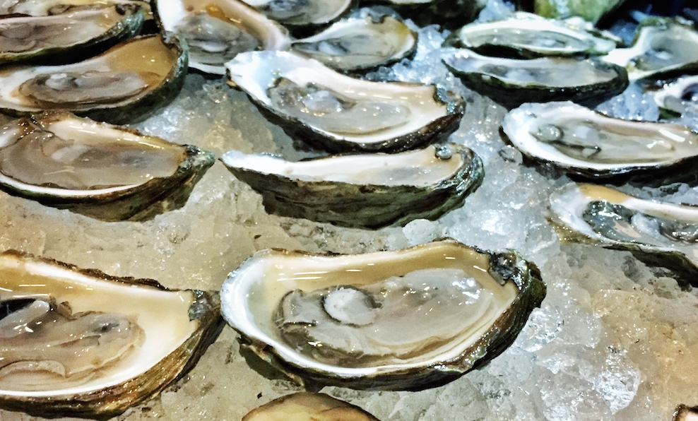oysters