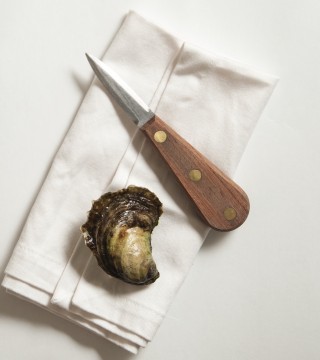 Oyster Shucking Guide 2