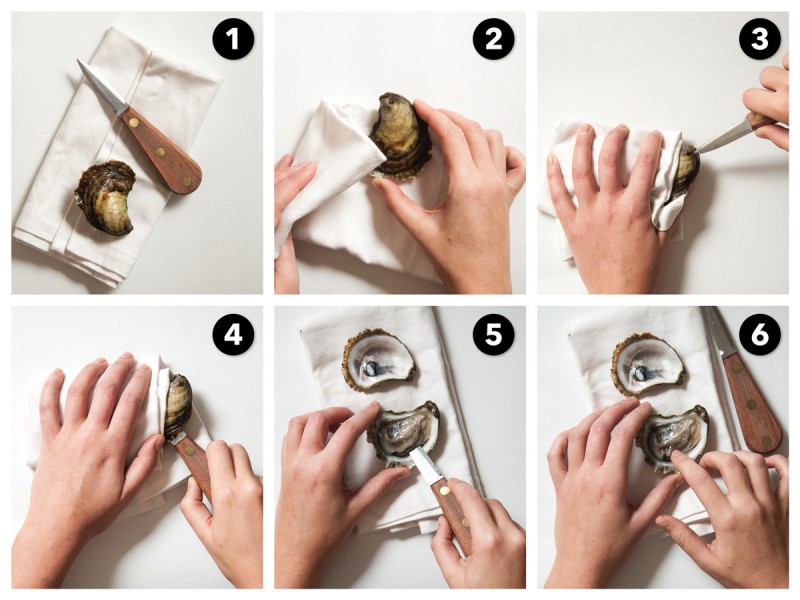 Oyster-Shucking-Guide