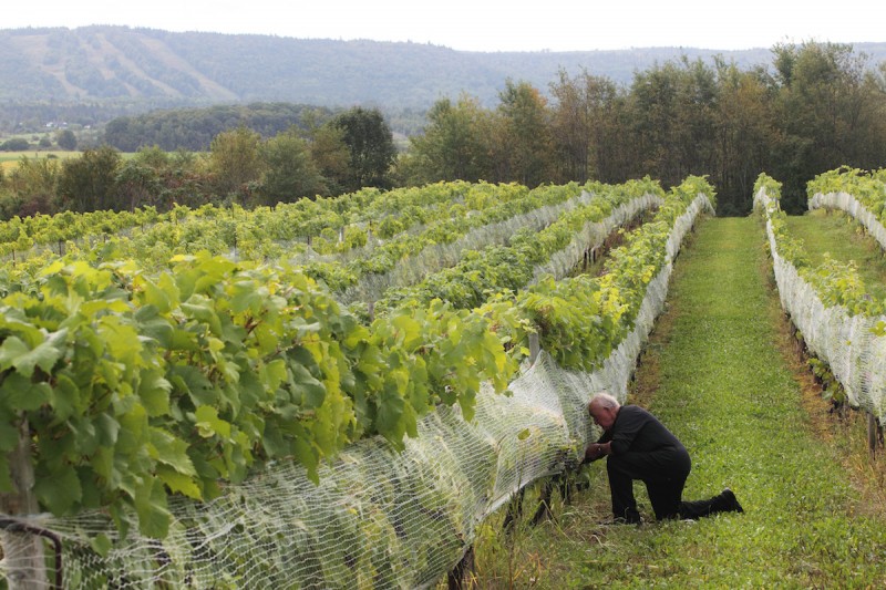 Sainte Famille Winery