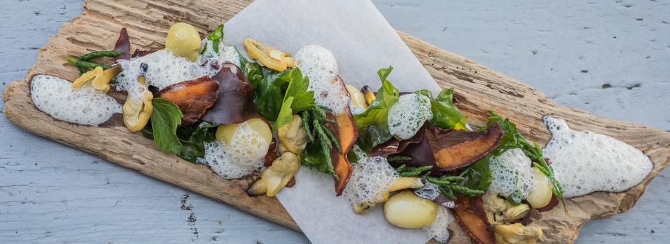 Wild Caraway Foraging Dinner 2014 