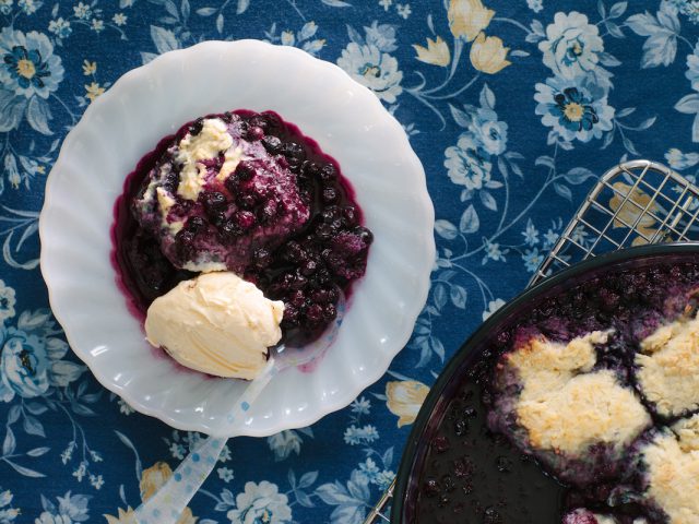 Nova Scotia Blueberry Grunt