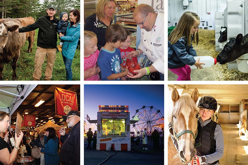 pictures-collage-800x533-1