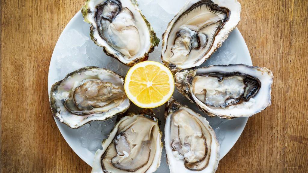 Oysters, Seafood, Shucked Oysters