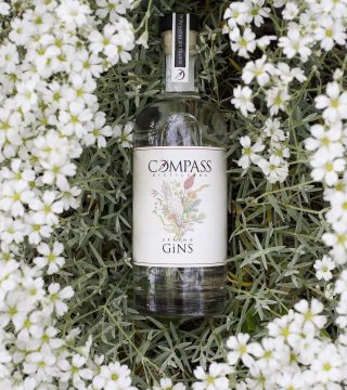 Compass Distillers GiNS Release Photo