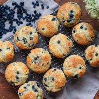 Blueberry Buttermilk Muffins for Blueberry Month by Jess Emin
