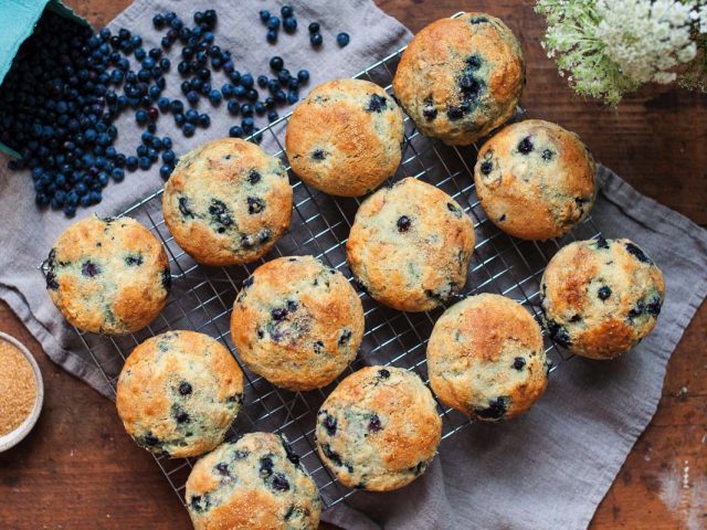Blueberry Buttermilk Muffins for Blueberry Month by Jess Emin