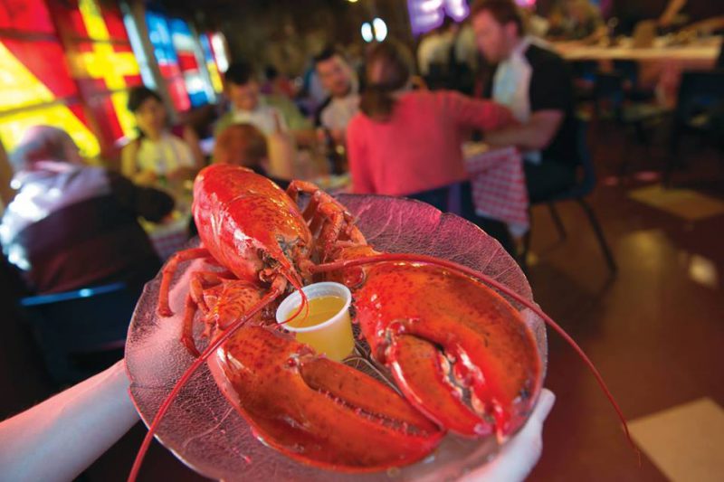 Lobster at The Shore Club