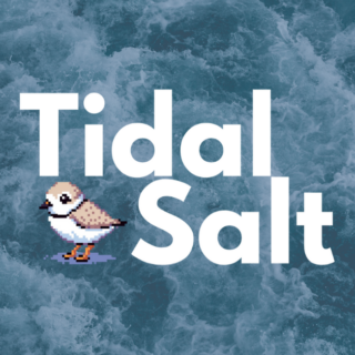 Tidal Salt