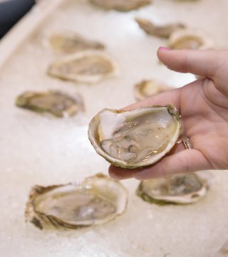 Sip n shuck oysters