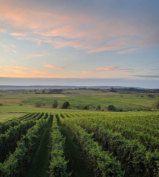 Planters Ridge Winery