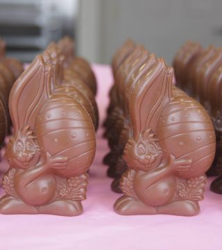 chocolate bunnies from sweet spot chocolate shop