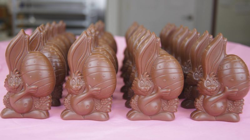 chocolate bunnies from sweet spot chocolate shop