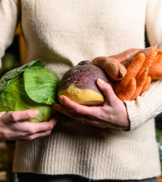 Photo of an arm load of produce