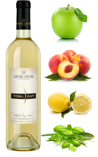 Mercator Tidal Bay 2019