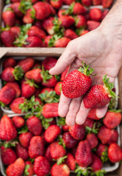 hands with strawberries