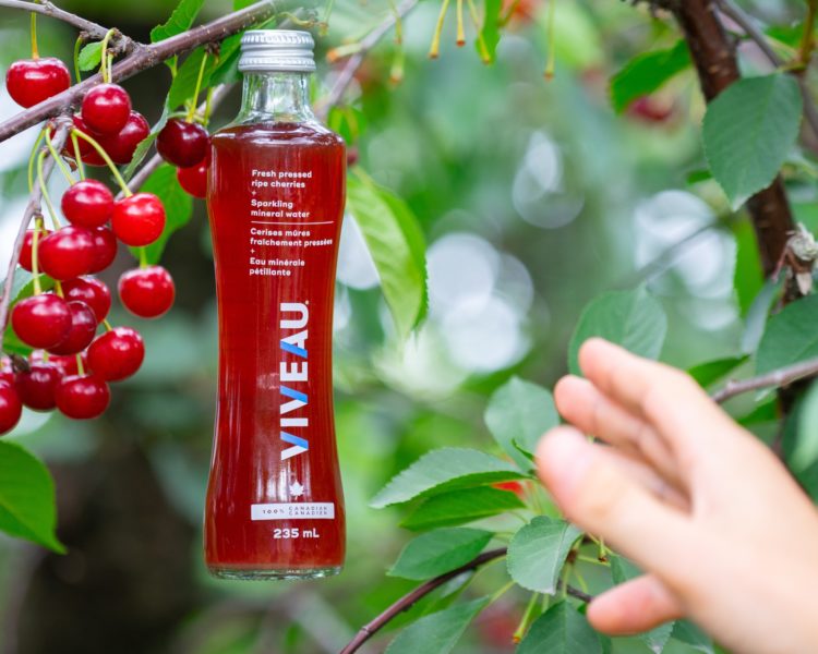 Bottle of Viveau cherry being picked off a tree