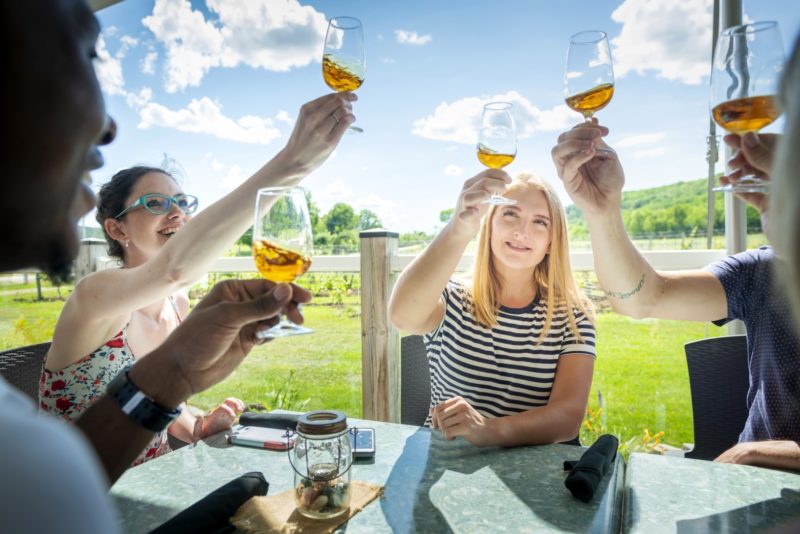 four people cheers with orange coloured wine on a patio on a sunny day