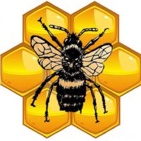 A photo of the logo for local business Beezy Wraps - reusable food wraps made from beeswax. The logo shows a honeybee in front of a honeycomb.
