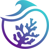 Sun Under The Sea
