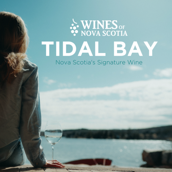 Person sitting with a glass of Tidal Bay wine.