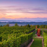 the luckett phone booth sits in the vineyard against a sunset