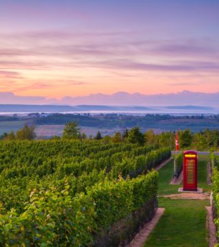 the luckett phone booth sits in the vineyard against a sunset