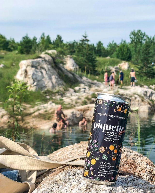 A can of Piquette Zero, sitting on a rock by a lake. People are swimming in the background. 