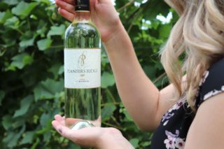 A person holding a wine bottle in a vineyard.