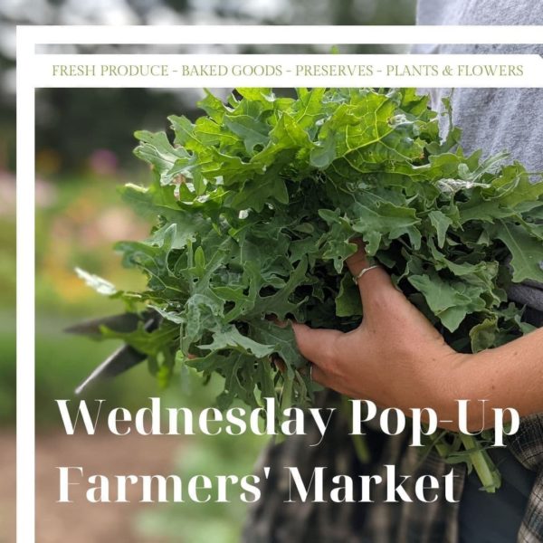 wednesday pop up farmers market cole harbour
