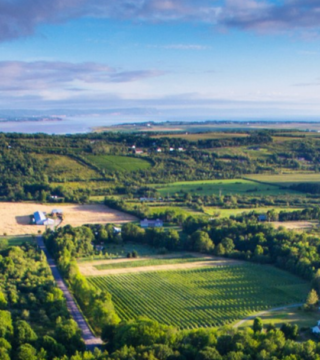 A photo showing an aerial view of L'Acadie Vineyards