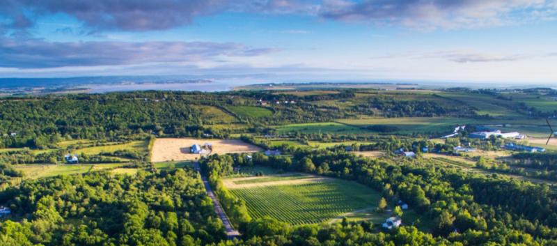 A photo showing an aerial view of L'Acadie Vineyards