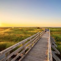 The boardwalk into the sunset at rushtons beach