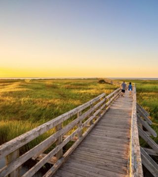 The boardwalk into the sunset at rushtons beach