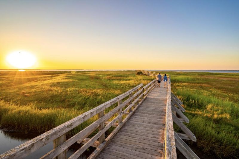The boardwalk into the sunset at rushtons beach