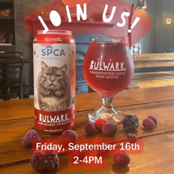 new bulwark spca cider can and glass