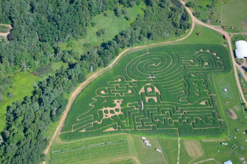 aerial of noggins corn maze