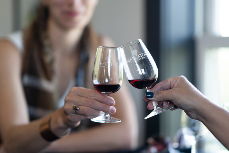 A photo of two people doing a cheer with samples of a red wine from Mercator Vineyards.