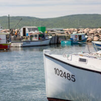 A photo of fishing boats belonging to Victoria Co-Operative Fisheries Ltd. members