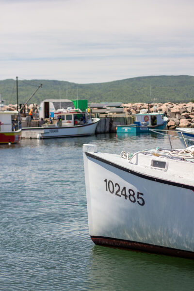 A photo of fishing boats belonging to Victoria Co-Operative Fisheries Ltd. members